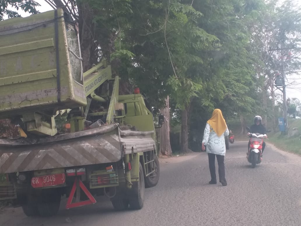 Penebangan pohon kayu, Kelurahan Labuhan Deli, Kec. Medan Marelan